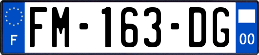 FM-163-DG