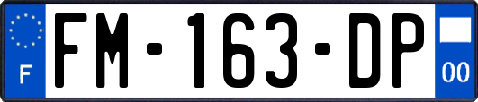 FM-163-DP