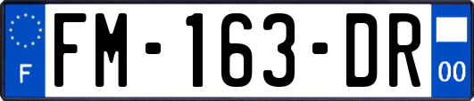 FM-163-DR
