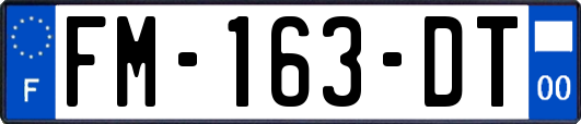 FM-163-DT