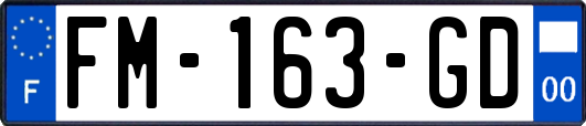 FM-163-GD