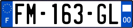 FM-163-GL