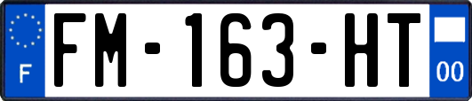 FM-163-HT