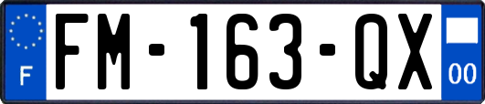 FM-163-QX