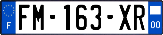 FM-163-XR