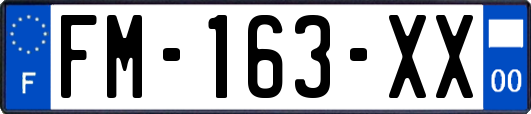 FM-163-XX