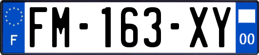 FM-163-XY