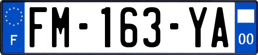 FM-163-YA