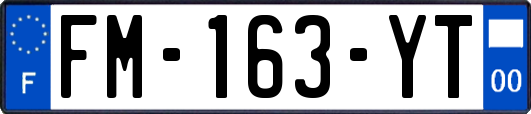 FM-163-YT