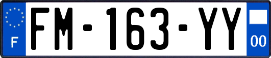 FM-163-YY