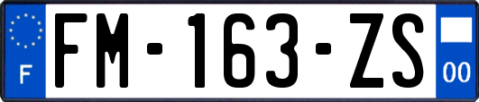 FM-163-ZS