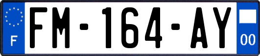 FM-164-AY