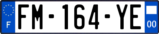 FM-164-YE