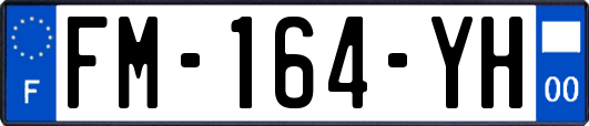 FM-164-YH
