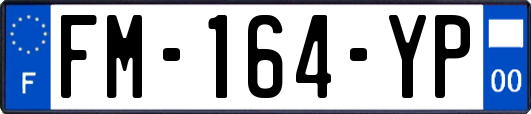 FM-164-YP