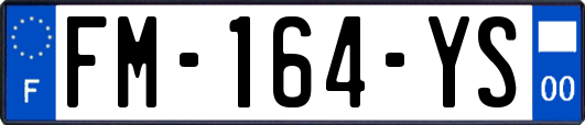FM-164-YS