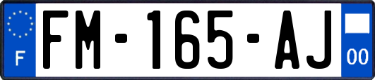 FM-165-AJ