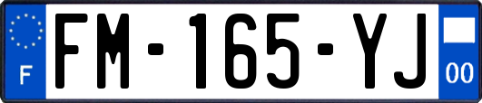 FM-165-YJ