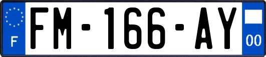 FM-166-AY