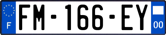 FM-166-EY