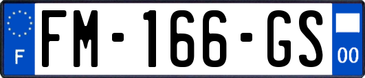 FM-166-GS