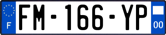 FM-166-YP