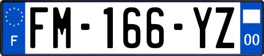 FM-166-YZ