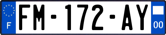 FM-172-AY