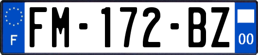FM-172-BZ