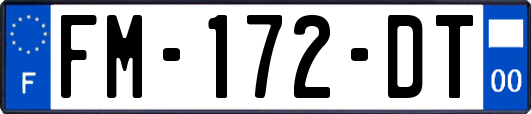 FM-172-DT