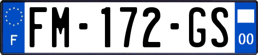 FM-172-GS