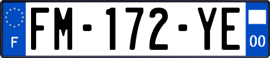 FM-172-YE