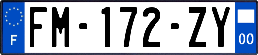 FM-172-ZY
