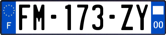 FM-173-ZY