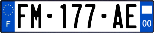 FM-177-AE