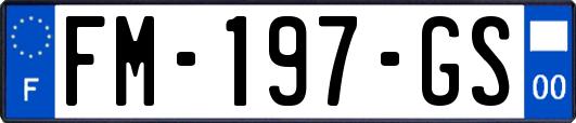 FM-197-GS
