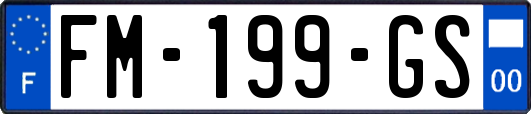 FM-199-GS