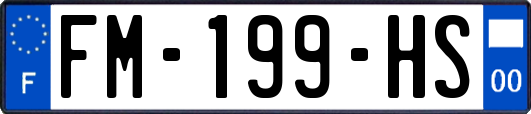 FM-199-HS