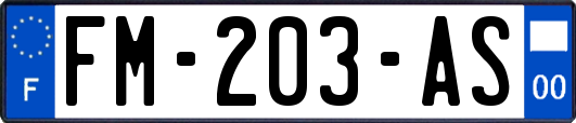 FM-203-AS