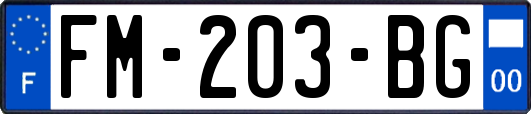 FM-203-BG