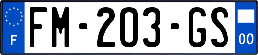 FM-203-GS
