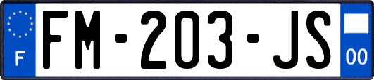 FM-203-JS