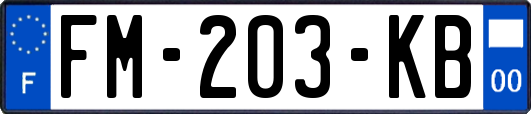 FM-203-KB