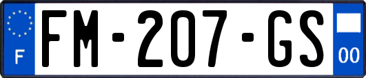 FM-207-GS