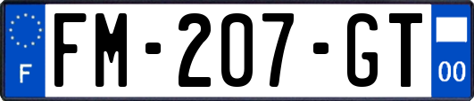 FM-207-GT