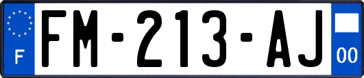 FM-213-AJ