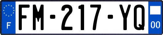 FM-217-YQ