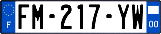 FM-217-YW