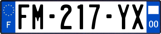 FM-217-YX