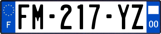 FM-217-YZ